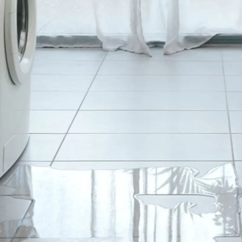 Appliance Leak Cleanup in Holiday Lakes, TX