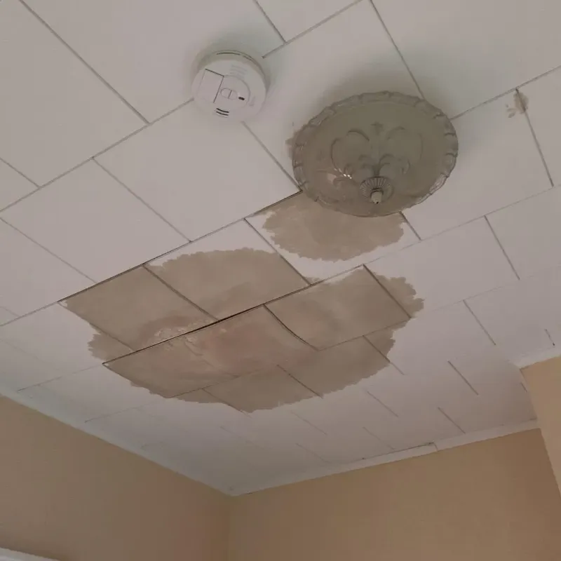 Ceiling Water Damage Repair in Holiday Lakes, TX
