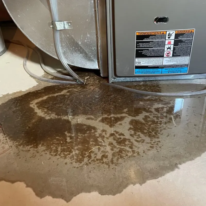 Pipe Burst and Leak Restoration in Holiday Lakes, TX