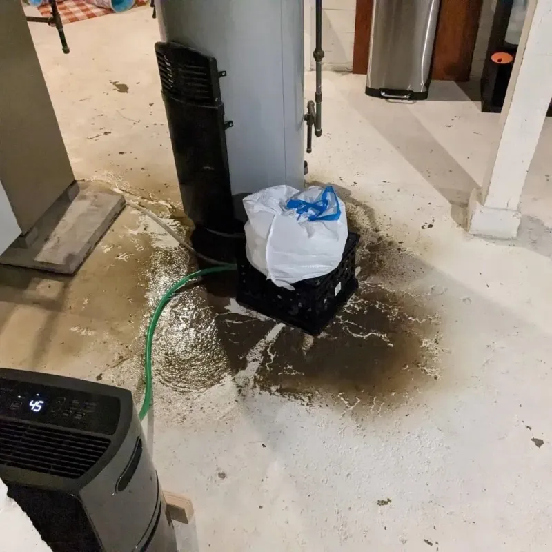 Sewage Backup Cleanup Service in Holiday Lakes, TX